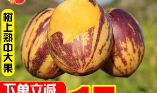 一根新鲜人参价格 一根新鲜人参价格