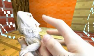 我的世界珍妮 我的世界珍妮