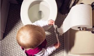 乳铁蛋白奶粉哪个好 乳铁蛋白奶粉哪个好